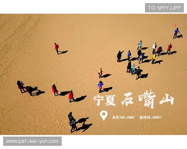 世界游泳接力换人策略最佳实践分享，游泳接力可以换人